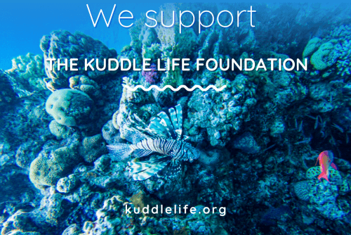 We support the "Kuddle Life Fondation"