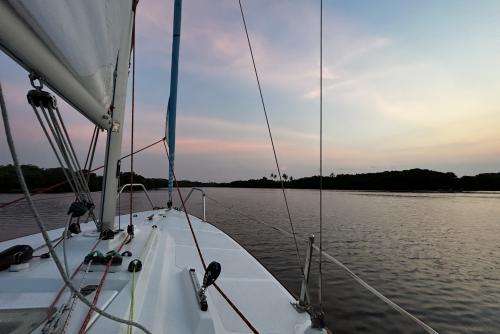 Feel the sea